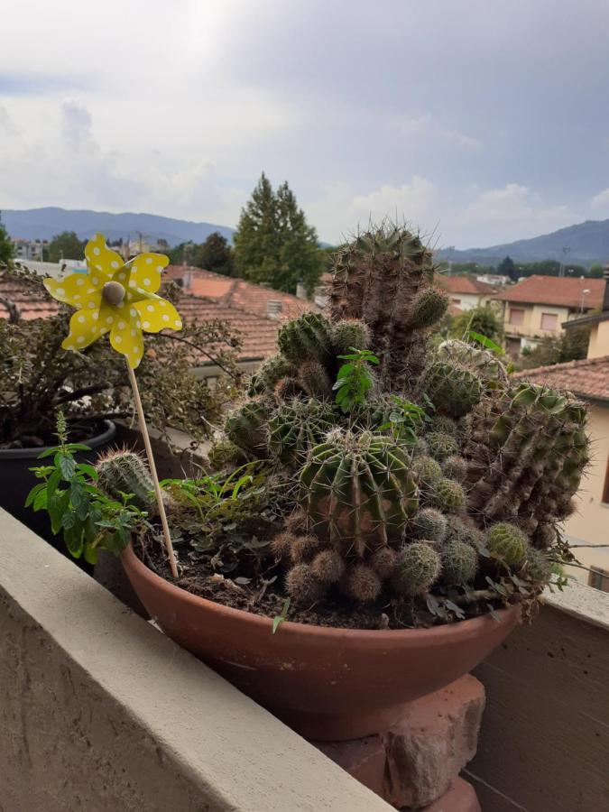 Apartamento Locazione Turistica Chichibio Pistoya Exterior foto